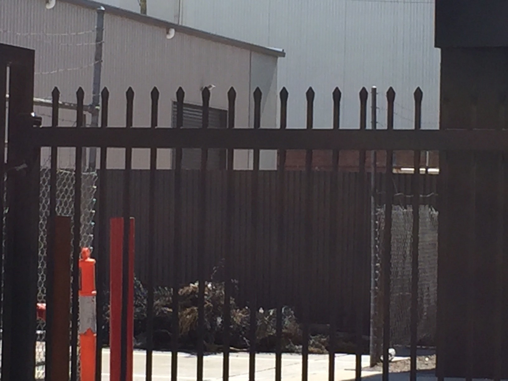 Quality Galvanized Tubular Steel Fencing stain black interpon Powder Anti UV ,Garrison Fence