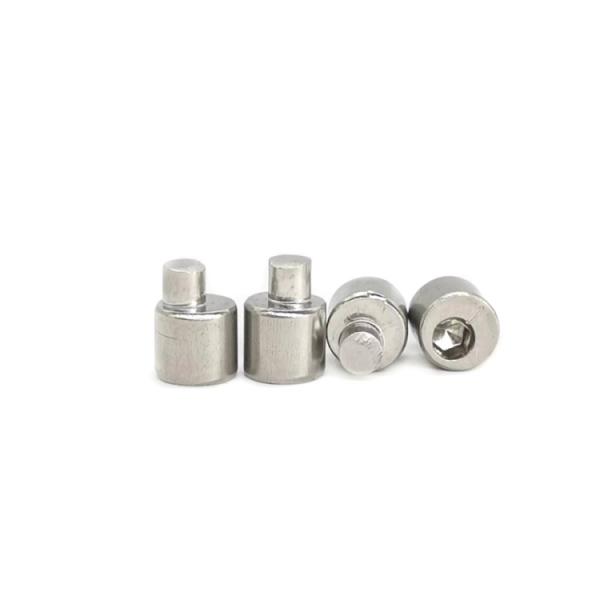 O parafuso traseiro 4.9X10.5 de Axle Eccentric Adjusting Stainless Steel lustrou SUS304