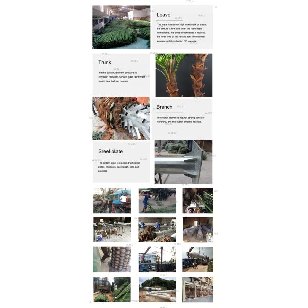 Indoor Landscape Decorative Artificial Phoenix Palm Tree Customized Size Durable