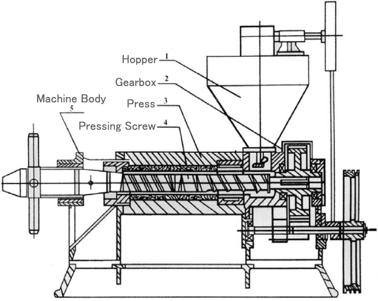 High Capacity Neem Oil Extraction Machine Perfect for Pressing 950KG of Oil Seeds in Pakistan