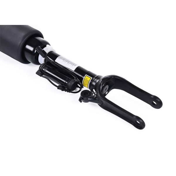 2513203013 R Class W251 Mercedes Shock Absorber Replacement