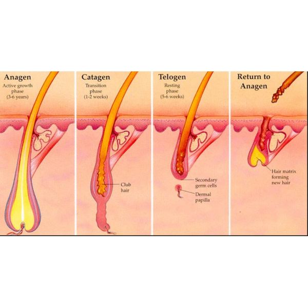 Pigment Removal IPL Hair Removal Machines Facial Redness Removal