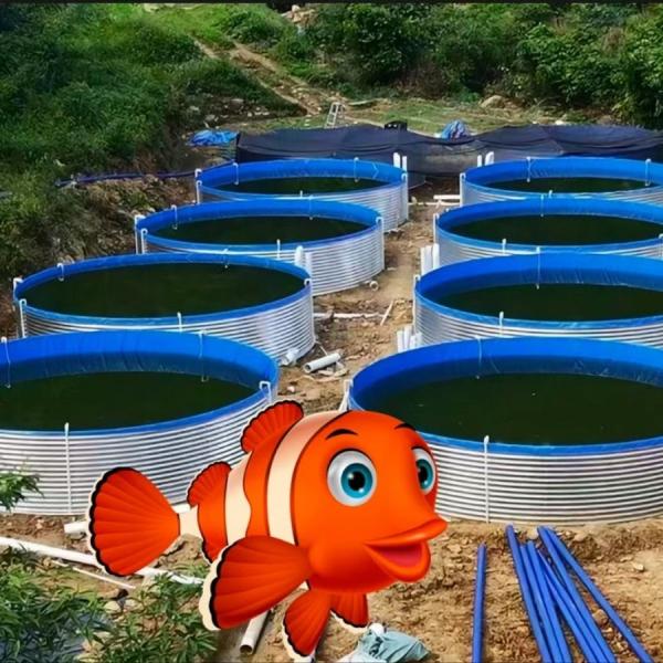 Aquaclture Design Style Indoor Tilapia Fish Farming Tanks HDPE Geomembrane Width 1m-8m