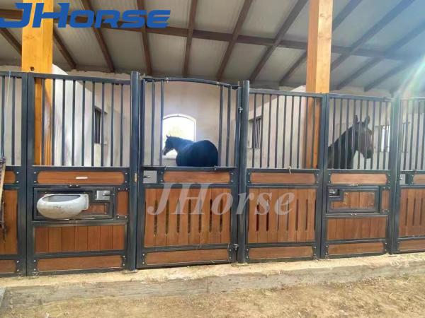 Le cheval européen en bambou de la vue ISO9001 en acier cale la taille de 1.5m-2.2m