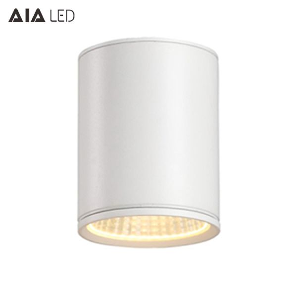 IP65 waterproof surface mounted DALI downlight 70W 0-10V dimmable exterior led down light &exterior downlight