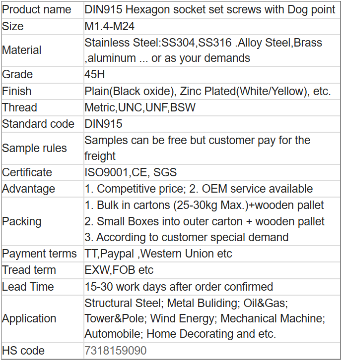 DIN915 Hexagon socket set screws with Dog point