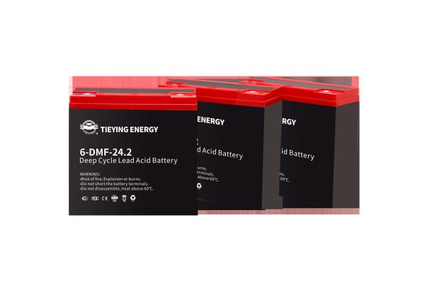 12v 24ah Meilleure batterie au plomb pour vélo électrique 6-DMF-24 ISO9001 ISO14001