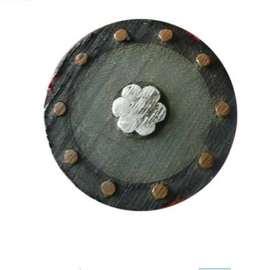 Best Price Single-Phase Insulated Low Voltage Cable Concentric Type