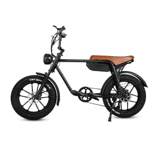 750W Fat Tire Electric Bicycle 48V 17Ah Battery Electric Bikes With Front Suspension