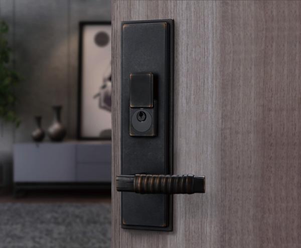 American Style Modern Door Lock , Double Entry Door Handleset With Dummy