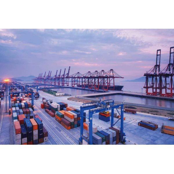 DDU DDP FCL Container Shipping From Shenzhen To Los Angels Sea Freight Transport