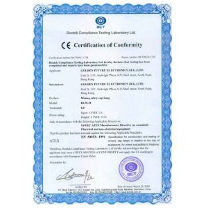 Golden Future Enterprise HK Ltd Certifications