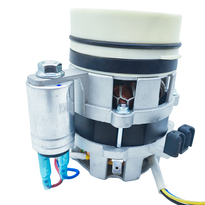 220В 50Гц 65/50Вт 0,28/0,23А Мотор для посудомоечной машины YXW48-2F-3 для Hansa/Korting/Gorenje