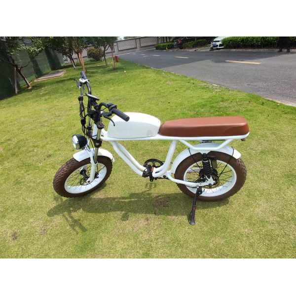 Rear Hub Motor Electric Bike for Fat Tire Chopper E Bike OEM Electric Motorcycles 350W