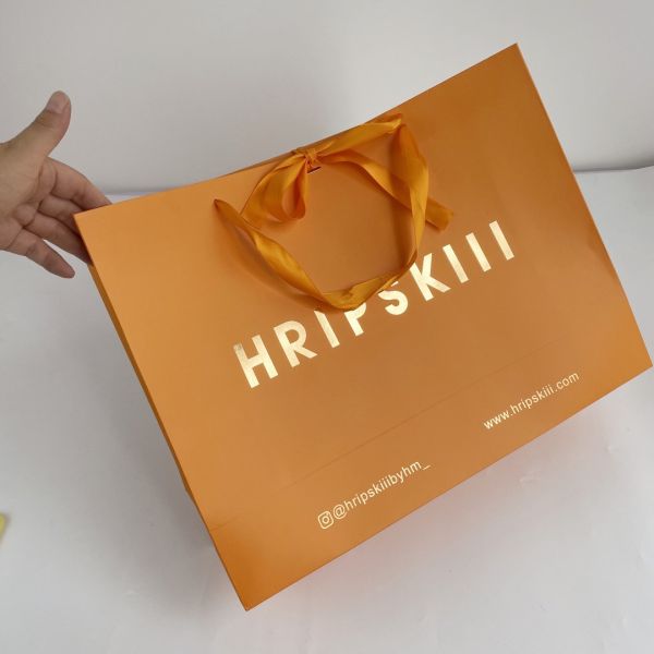 Luxury Fashion Low Cost High Quality Packaging Bag Laminated Eco Friendly Shopping Paper Bag With Your Own Logo Print