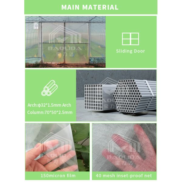 BAOLIDA 24x40m Single-Span Greenhouse With 150micron PE Film