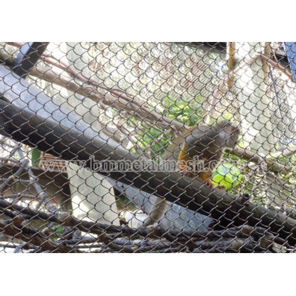 Baking Finish Architectural Metal Mesh Phantom Mesh For Zoological Decoration