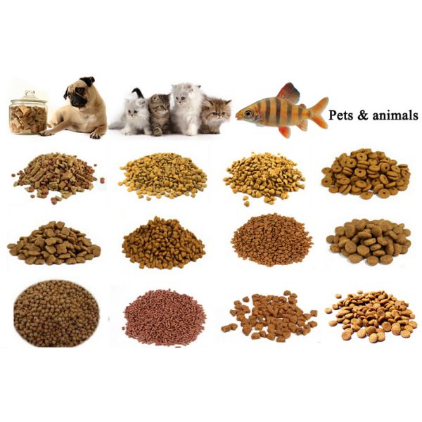 Full Automatic Pet Food Making Machine Good Performance Long Service Life