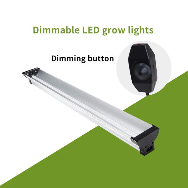 6600K Small Greenhouse Grow Lights