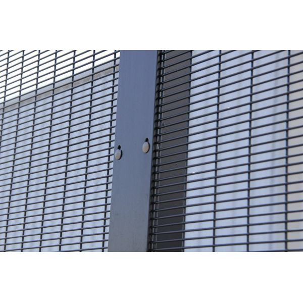 Безопасность подъема защитного шипа чистая 4mm анти- ограждая усовик 358