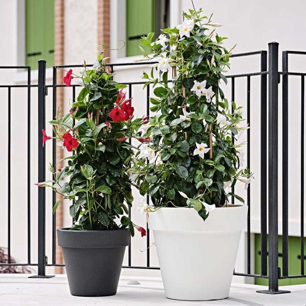 Potes de flores de fibra de vidro modernos exclusivos com acabamento brilhante para decoração exterior interna