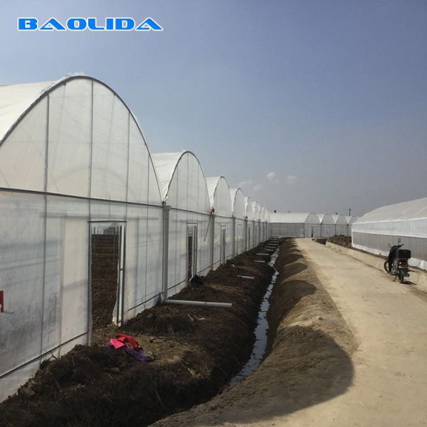 Steel Structure Polythene Tunnel 4 Mil Plastic Sheeting Greenhouse