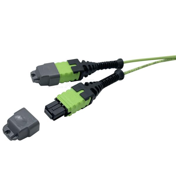 KEXINT 12 Core OM5 Fiber Optic Patch Cord MTP Pro Female 2.0mm 5M Type B Multimode