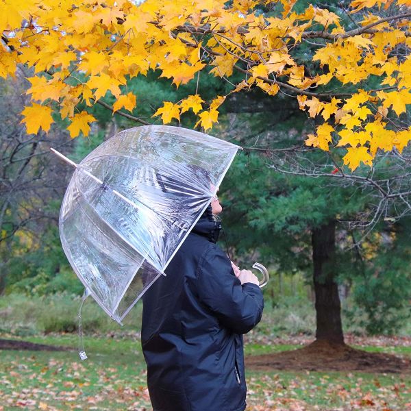Custom Printed Logo or Pattern Clear Dome Umbrella for Lady 23inch 8k Black Metal Frame