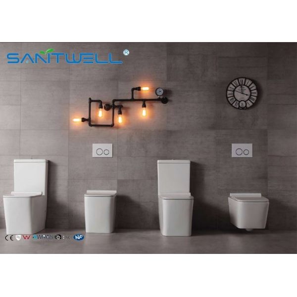 Механизм популярной уборной ванной комнаты туалета Вашдаун 3Л двойной полный