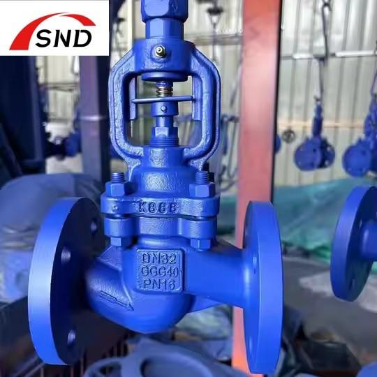 Cast Iron Corrosion Resistant Globe Valve For Chemical Industry