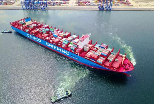 Amazon Electro Brand Goods International Freight By Sea FCL LCL From China To Middle East Dubai Iran