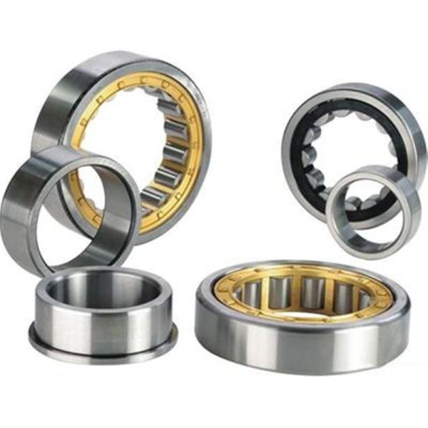NUP NFP Type Cylindrical Roller Bearing NJ  2320  EC3 With Brass Cage