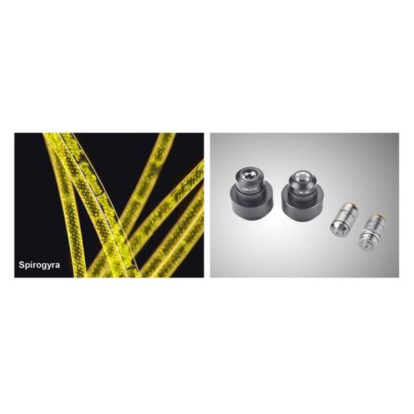 Research Scientific Full Auto Motorized Opto-Edu Binocular Biological Microscope A12.1095