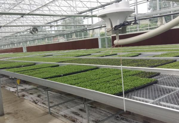 Hydroponic Trays Greenhouse Benches Ebb And Flow Rolling Benches 3mm