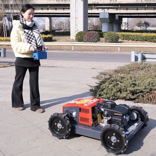 Factory Direct Sale Color Wheel-type Cordless Single Cylinder DIY Grass Box Lawn Mower CE & EPA Certified