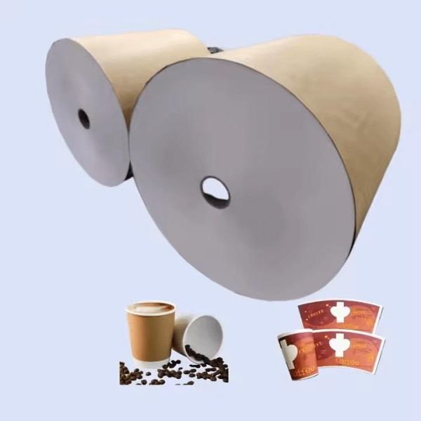 Craft Material PE/PLA coated paper roll Free Sample OEM FDA Quality for heavy Weight Customized Color