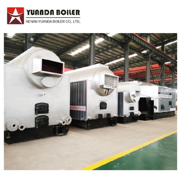 DZL Chain Grate Stoker 4 Ton Coal Fired Steam Boiler For Rice Mill Plant
