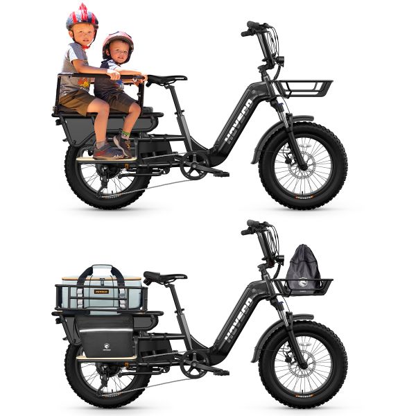 Utility Fat Tire Electric Cargo Bike with Rear Rack Long Range Ebike for Delivery and Family Use 250W
