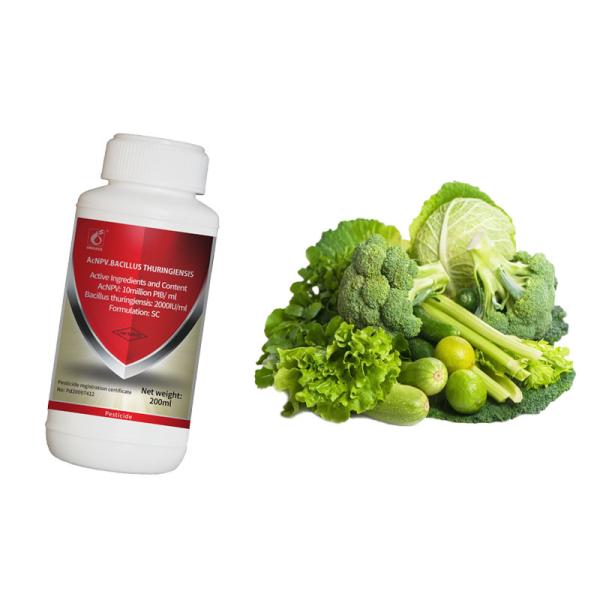 Natural Organic Insect Viral Pesticide AcNPV &Bt SC for Brassicaceous Vegetable Autographa California NPV Biopesticide