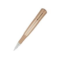 Aiguille permanente de cartouche de machine de maquillage de 4 niveaux de vitesse pour le tatouage de lèvre de sourcil