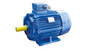 Motor assíncrono trifásico de 4 pólos 0,5-5 Hp Ev