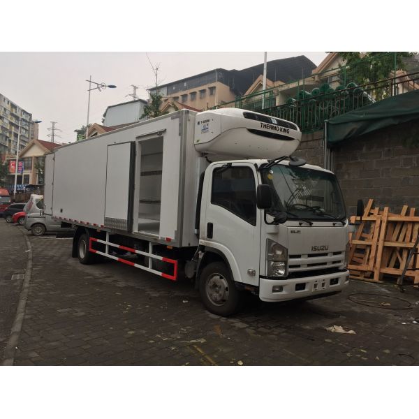 plastic Cap T800 Thermo King T Series For Cooling Transport