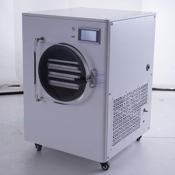 Fully Automatic Factory Price Home Use Commercial Mini Freeze Dryer Drying Commercial