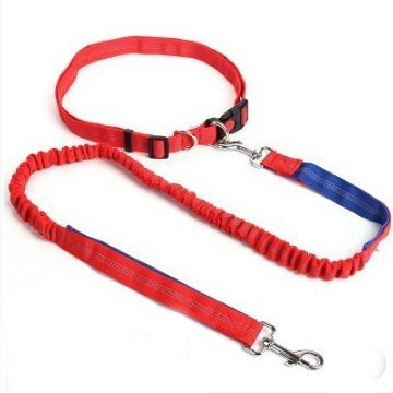 Вокруг пояса ведущего каната любимца талии взрывозащищенного для средних больших собак