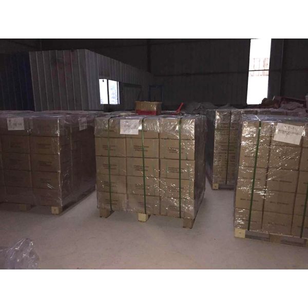 Steel Plastic Strip Gas Nails for Most Gas Concrete Nailer Applications