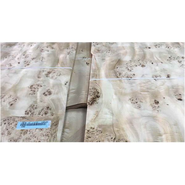 Древесина тополя Европы естественная лощит толщину 0.5mm зерна узелка Mapa высококачественную для музыкального инструмента