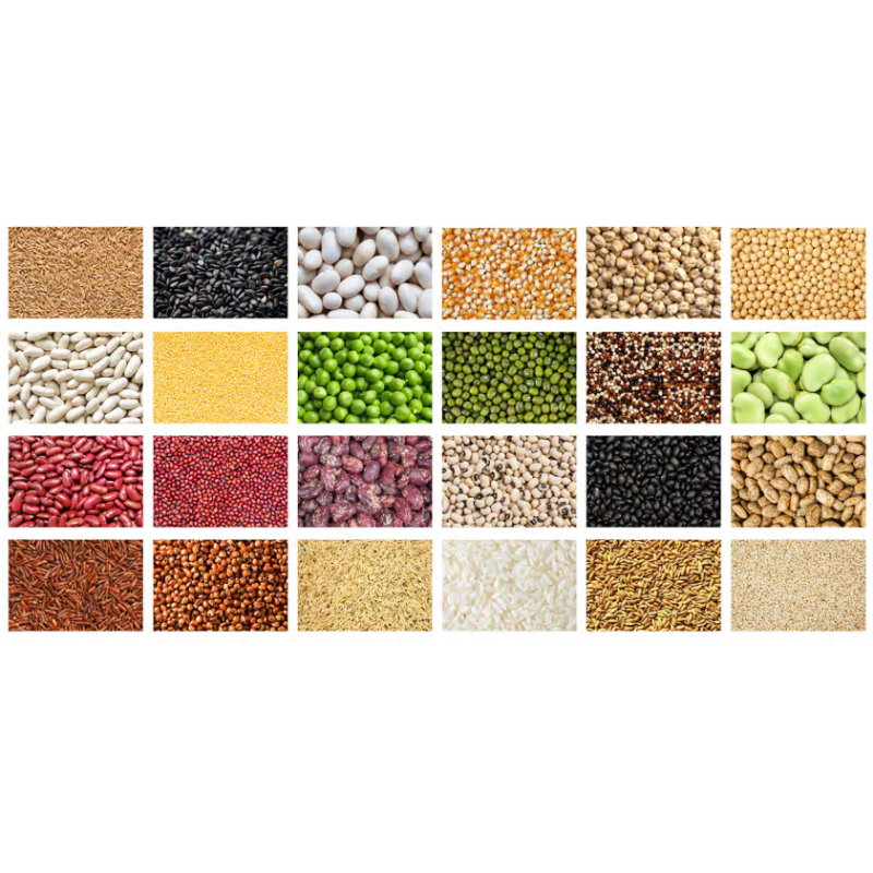 AI Wenyao Advanced Technology Macadamia Nut Color Sorter Machine Pistachio Pecan Macadamia Color Sorting Machine