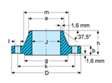 Durable ASTM ASME Annealed Forged Steel Flange Fully Machined High Hardness