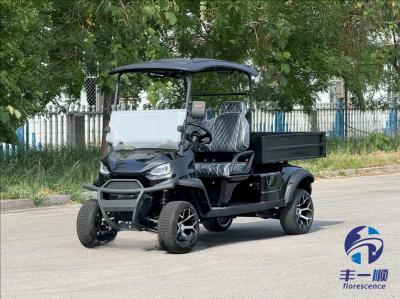 Electric 2 Seat Golf Cart with Cargo Box