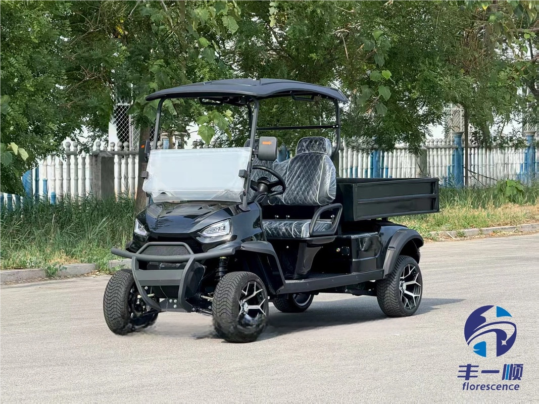 Electric 2 Seat Golf Cart with Cargo Box